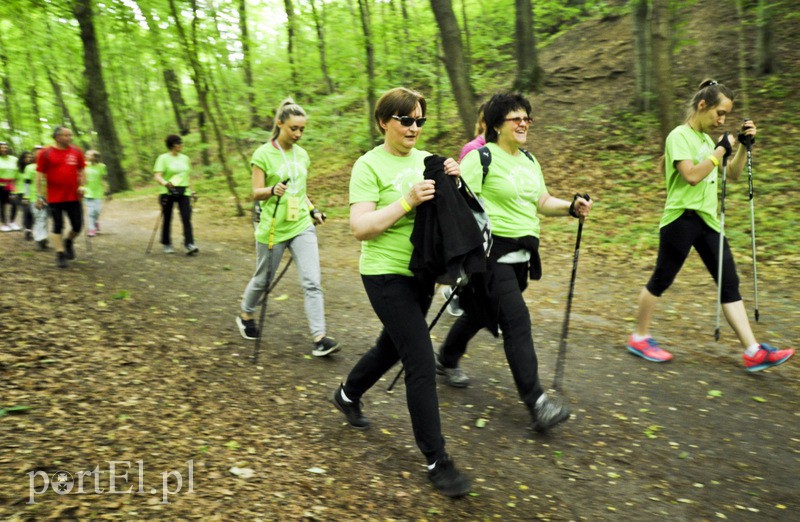  Maszerowali z kijkami aż miło zdjęcie nr 107619