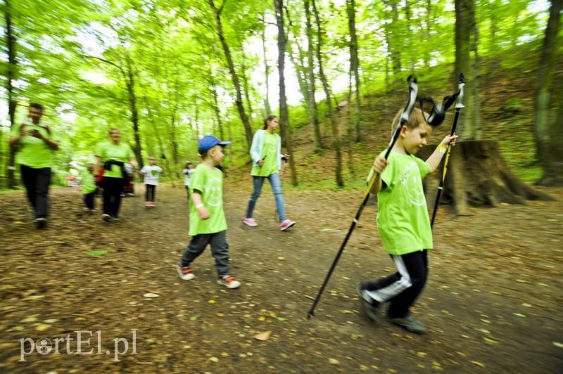  Maszerowali z kijkami aż miło zdjęcie nr 107629