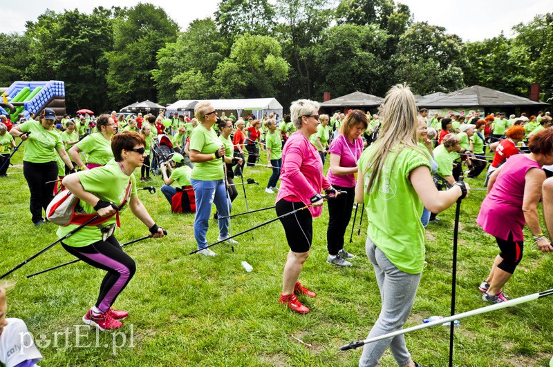  Maszerowali z kijkami aż miło zdjęcie nr 107604