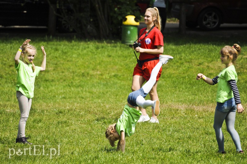  Maszerowali z kijkami aż miło zdjęcie nr 107594