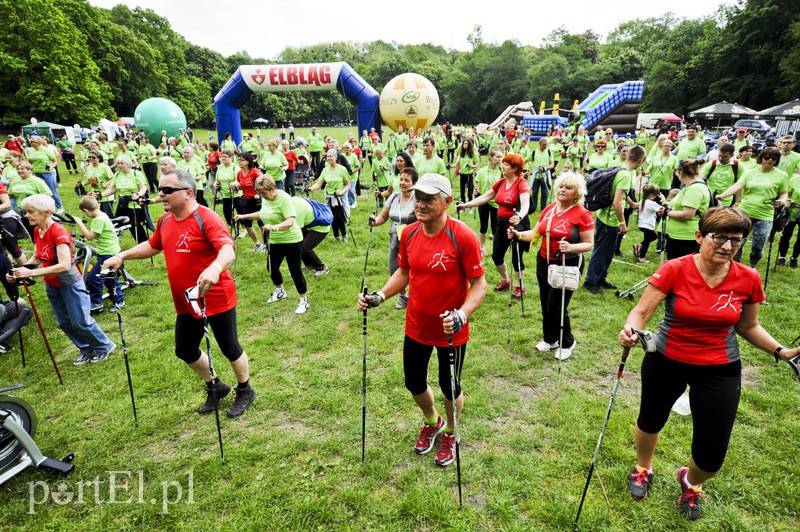  Maszerowali z kijkami aż miło zdjęcie nr 107609