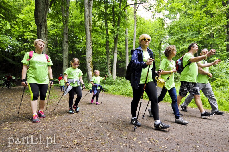  Maszerowali z kijkami aż miło zdjęcie nr 107627