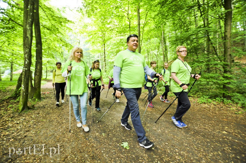  Maszerowali z kijkami aż miło zdjęcie nr 107624