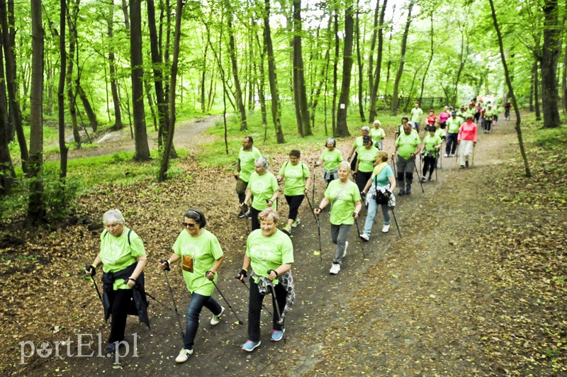  Maszerowali z kijkami aż miło zdjęcie nr 107618