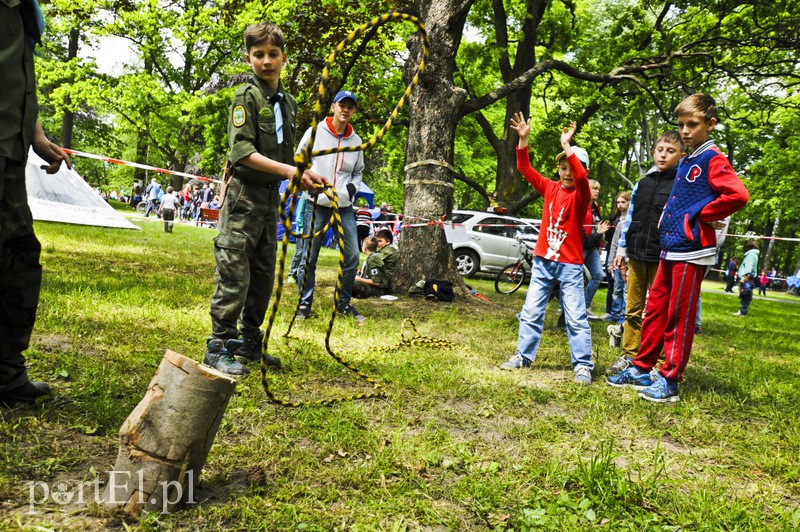 Piegusowe szaleństwo w parku Modrzewie zdjęcie nr 107702