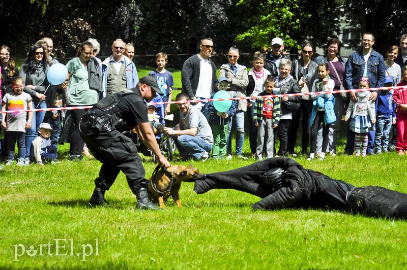 Piegusowe szaleństwo w parku Modrzewie zdjęcie nr 107722