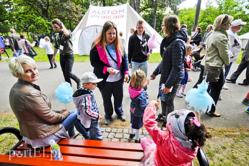 Piegusowe szaleństwo w parku Modrzewie zdjęcie nr 107701