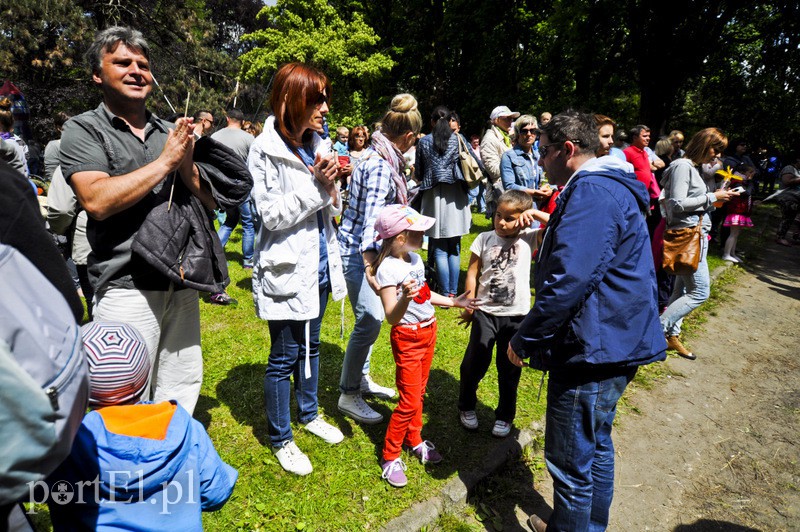 Piegusowe szaleństwo w parku Modrzewie zdjęcie nr 107731