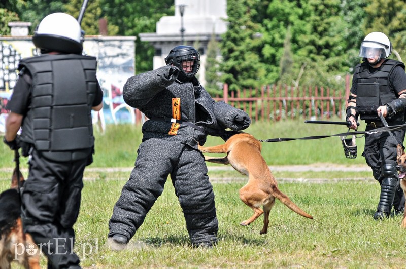 Policja kontra kibice na stadionie zdjęcie nr 107967