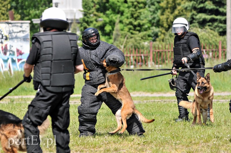 Policja kontra kibice na stadionie zdjęcie nr 107966