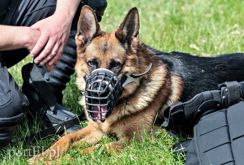 Policja kontra kibice na stadionie zdjęcie nr 107956