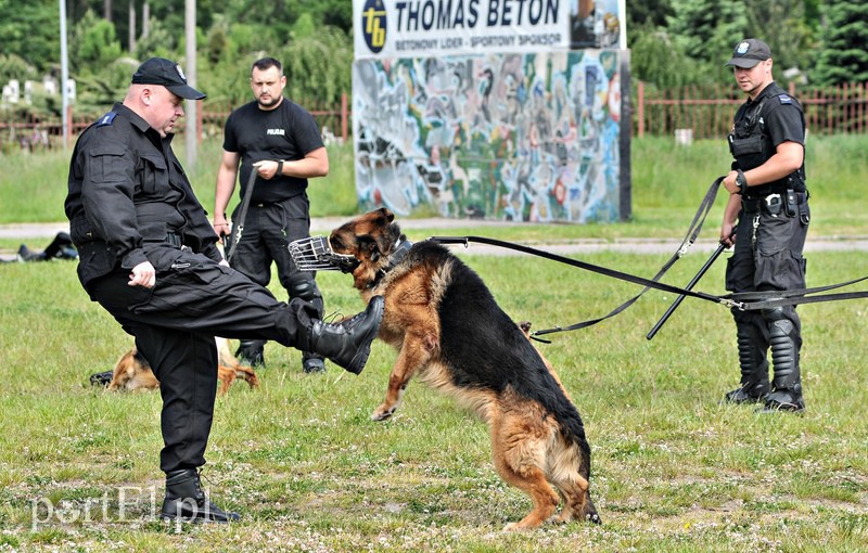 Policja kontra kibice na stadionie zdjęcie nr 107962