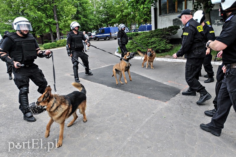 Policja kontra kibice na stadionie zdjęcie nr 107976