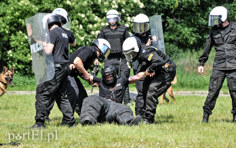 Policja kontra kibice na stadionie zdjęcie nr 107971