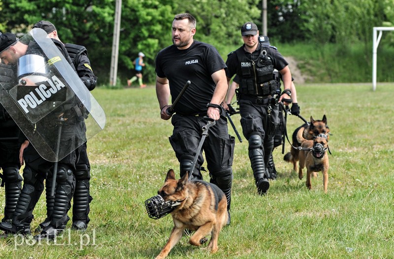 Policja kontra kibice na stadionie zdjęcie nr 107961