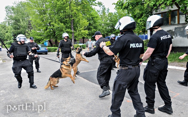 Policja kontra kibice na stadionie zdjęcie nr 107975