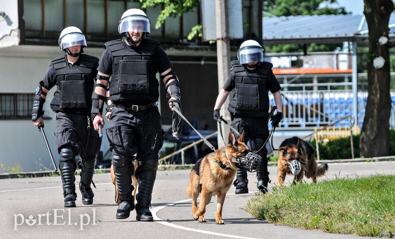 Policja kontra kibice na stadionie zdjęcie nr 107965