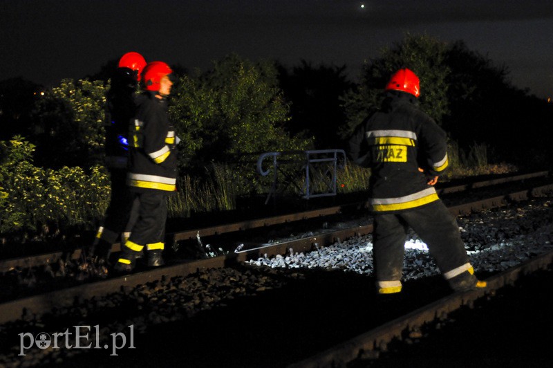  Pociąg uderzył w stado krów zdjęcie nr 108103