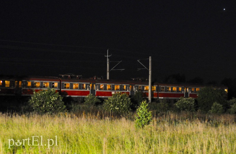  Pociąg uderzył w stado krów zdjęcie nr 108108