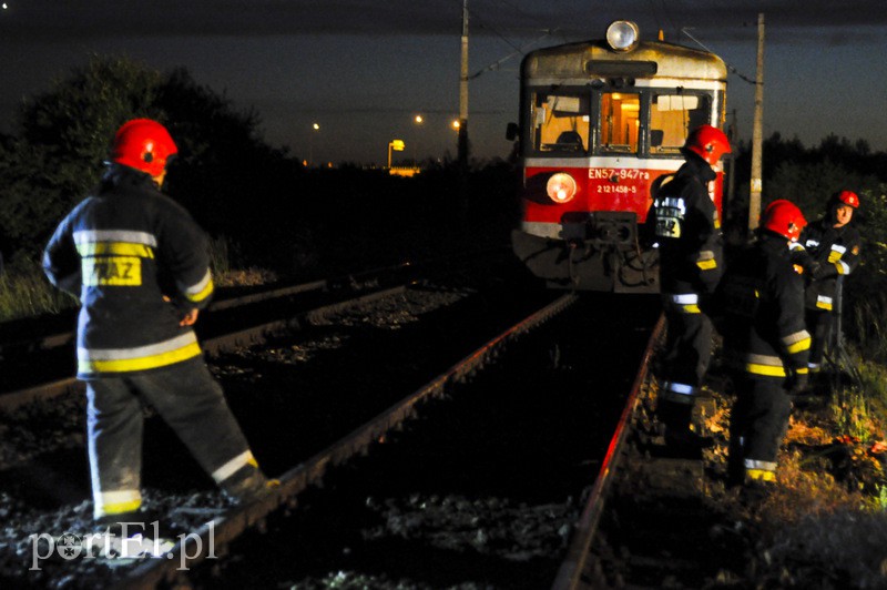  Pociąg uderzył w stado krów zdjęcie nr 108104