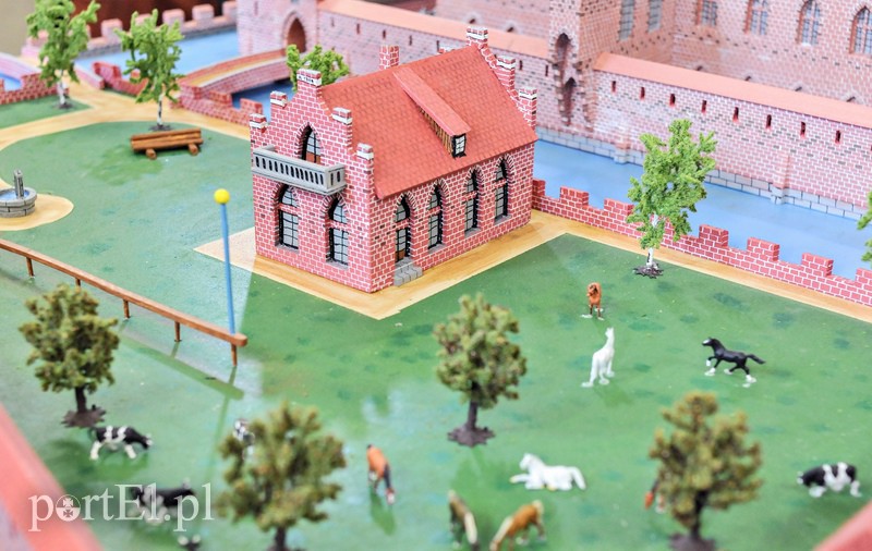 Zamek Wysoki przyjechał z Niemiec zdjęcie nr 108161