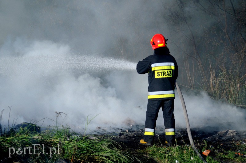 Pożar dzikiego wysypiska zdjęcie nr 108217