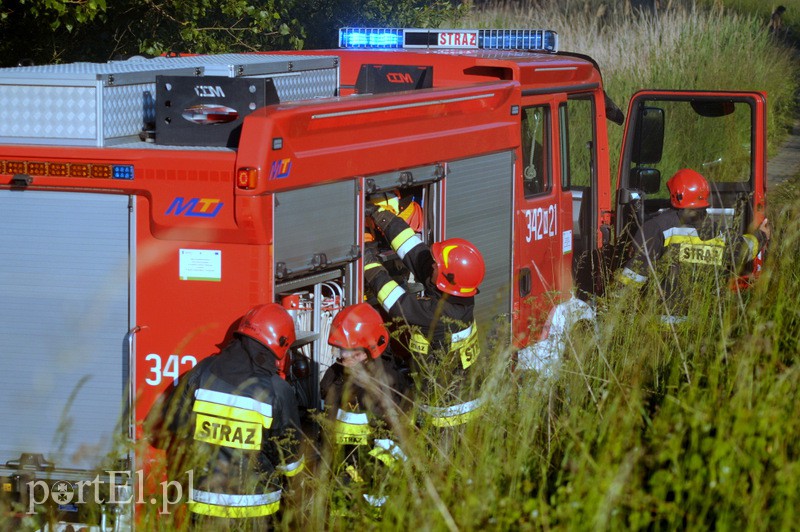 Pożar dzikiego wysypiska zdjęcie nr 108213