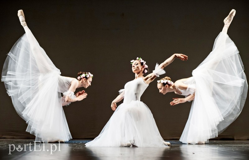 Jak się tańczy? Tak się tańczy! zdjęcie nr 109411