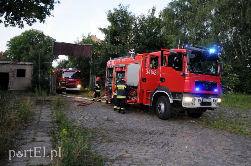  Pożar tuż przy moście zdjęcie nr 109644