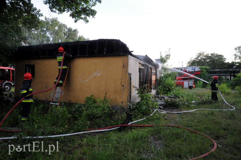  Pożar tuż przy moście zdjęcie nr 109650