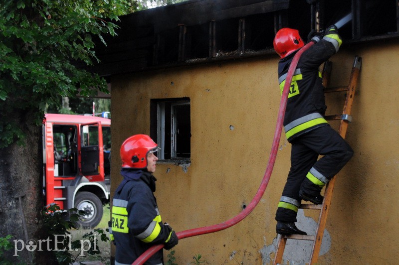  Pożar tuż przy moście zdjęcie nr 109649