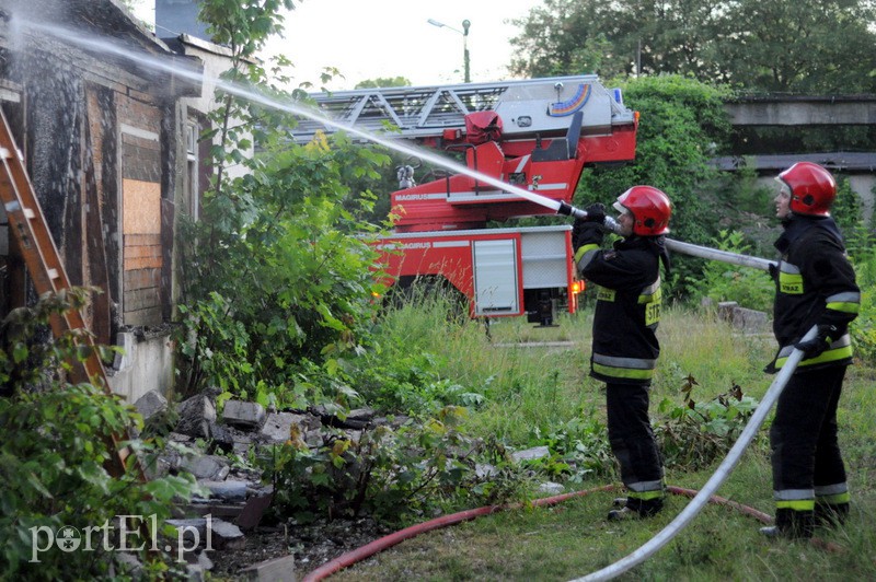  Pożar tuż przy moście zdjęcie nr 109646