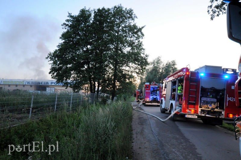  Pożar hali z częściami do aut przy obwodnicy zdjęcie nr 110162