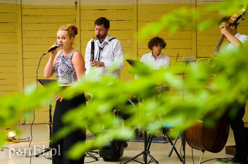 Letni Salon Muzyczny w Bażantarni zdjęcie nr 110676