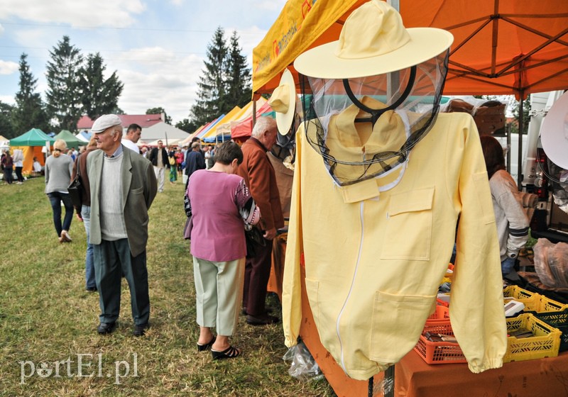 Rozpoczęły się najbardziej miodowe targi w okolicy zdjęcie nr 110946