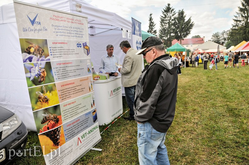 Rozpoczęły się najbardziej miodowe targi w okolicy zdjęcie nr 110945