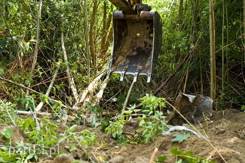 Jedno z najbardziej wstydliwych miejsc w Elblągu właśnie przechodzi metamorfozę. Naprzeciwko ratusza zdjęcie nr 111176