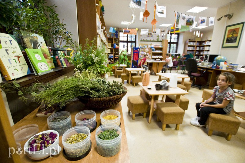  Czy w bibliotece straszy? zdjęcie nr 112214