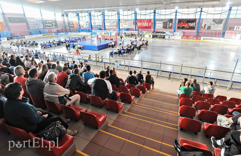 VII Turniej Bokserski o Puchar Wiesława Budzińskiego zdjęcie nr 112724