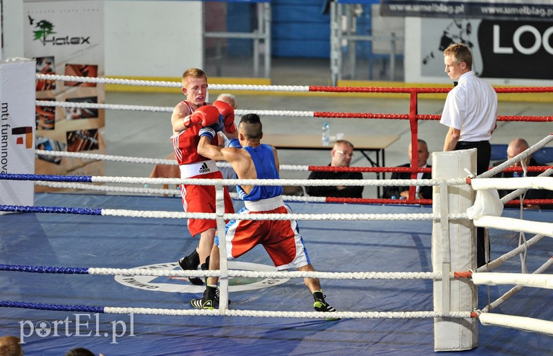 Elbląg VII Turniej Bokserski o Puchar Wiesława Budzińskiego
