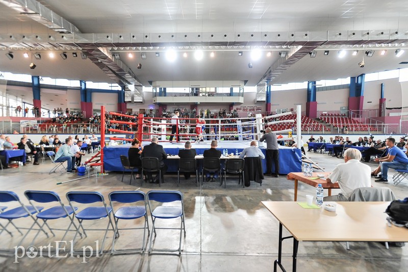 VII Turniej Bokserski o Puchar Wiesława Budzińskiego zdjęcie nr 112734