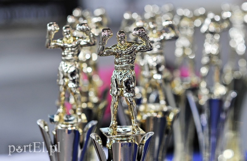 VII Turniej Bokserski o Puchar Wiesława Budzińskiego zdjęcie nr 112726