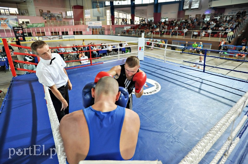 VII Turniej Bokserski o Puchar Wiesława Budzińskiego zdjęcie nr 112738