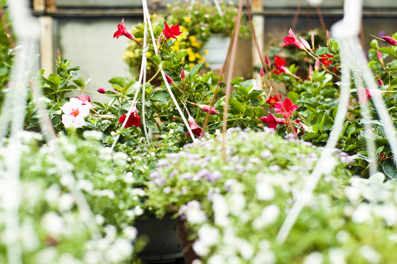 To one poprawiają komfort życia zdjęcie nr 112796