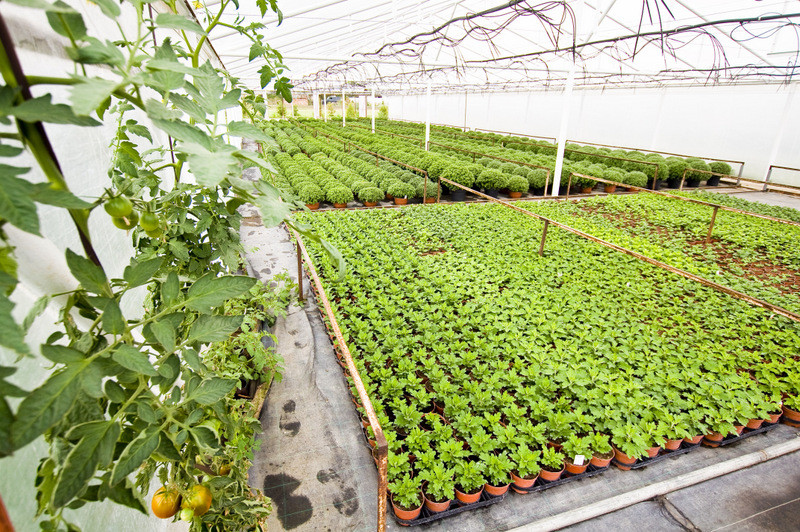 To one poprawiają komfort życia zdjęcie nr 112787