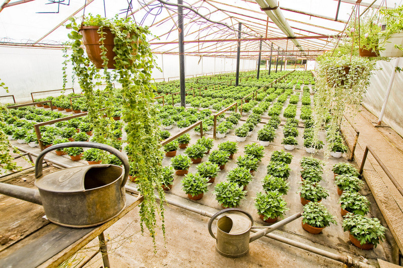 To one poprawiają komfort życia zdjęcie nr 112788