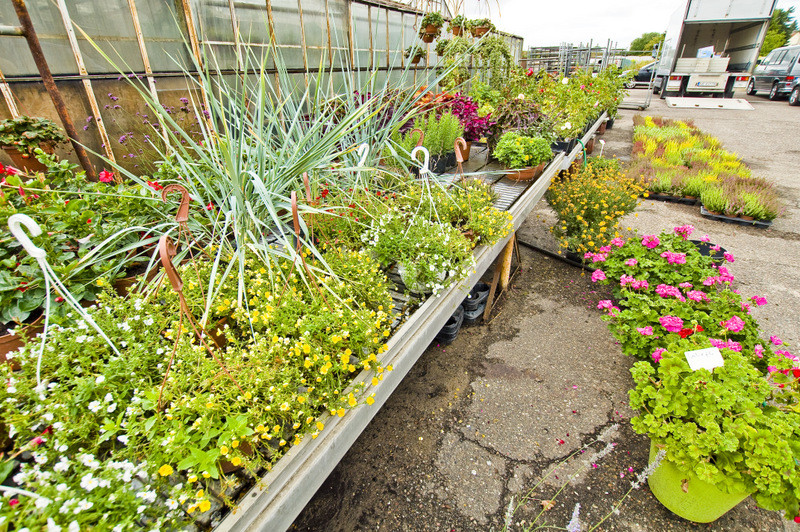 To one poprawiają komfort życia zdjęcie nr 112795