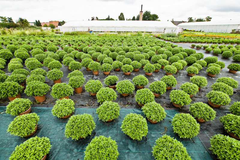 To one poprawiają komfort życia zdjęcie nr 112779