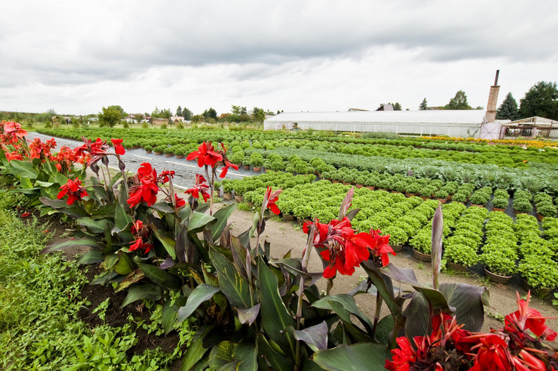 To one poprawiają komfort życia zdjęcie nr 112778