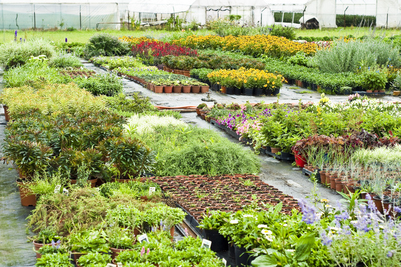 To one poprawiają komfort życia zdjęcie nr 112784